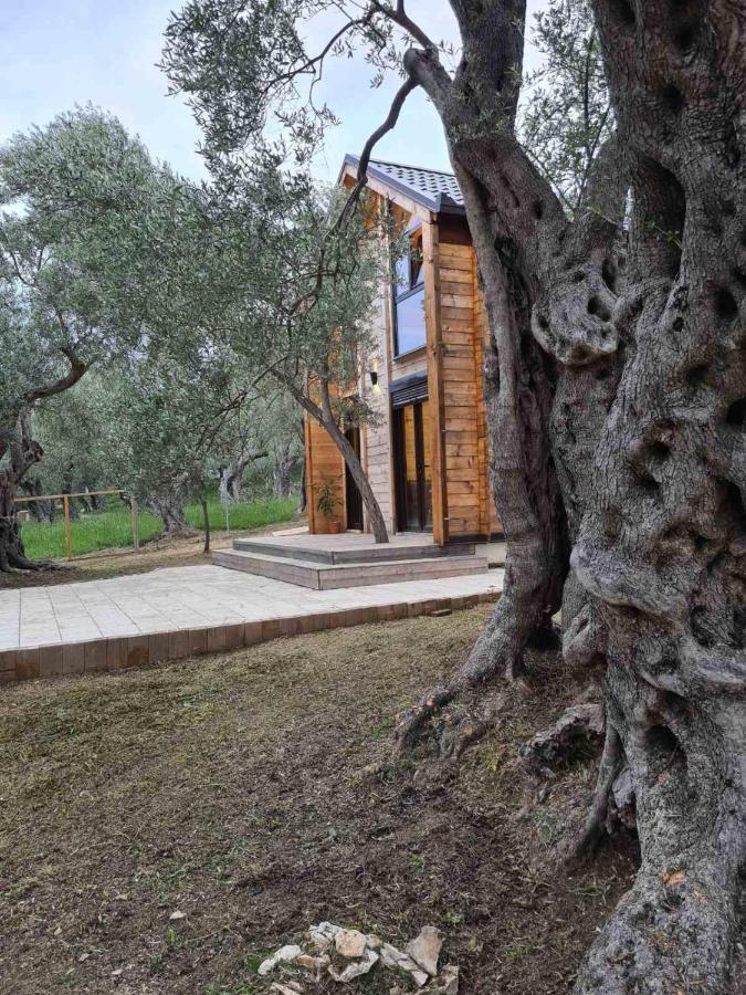 Olea Cottage Ulcinj Exterior foto