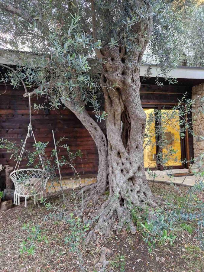 Olea Cottage Ulcinj Exterior foto